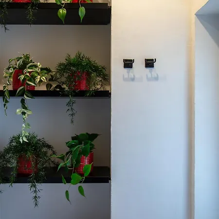 Fortunella 포르티코 디 로마냐